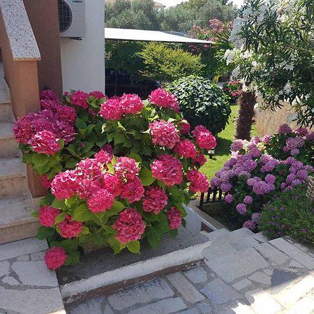 Apartments Mira Krk Krk Town Dış mekan fotoğraf