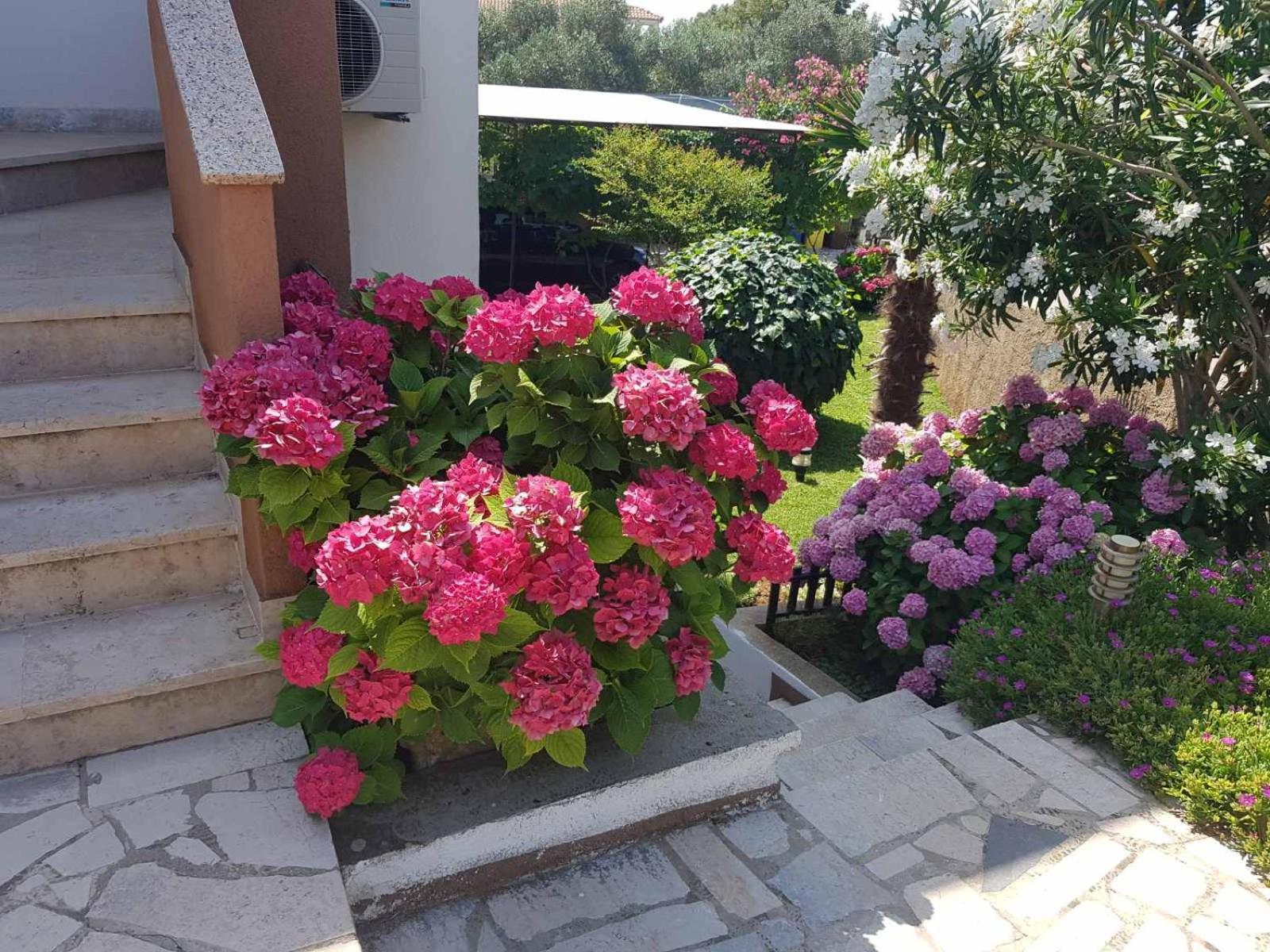 Apartments Mira Krk Krk Town Dış mekan fotoğraf
